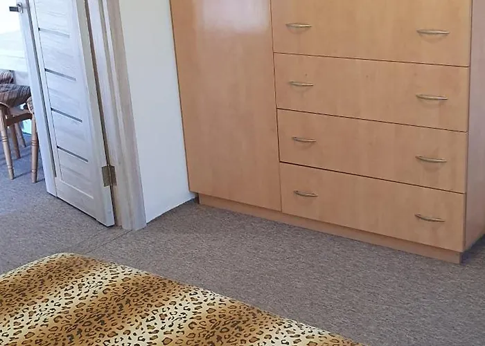 Kozatskiy Dvir Stryi